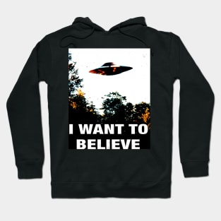 I Want To Believe Hoodie